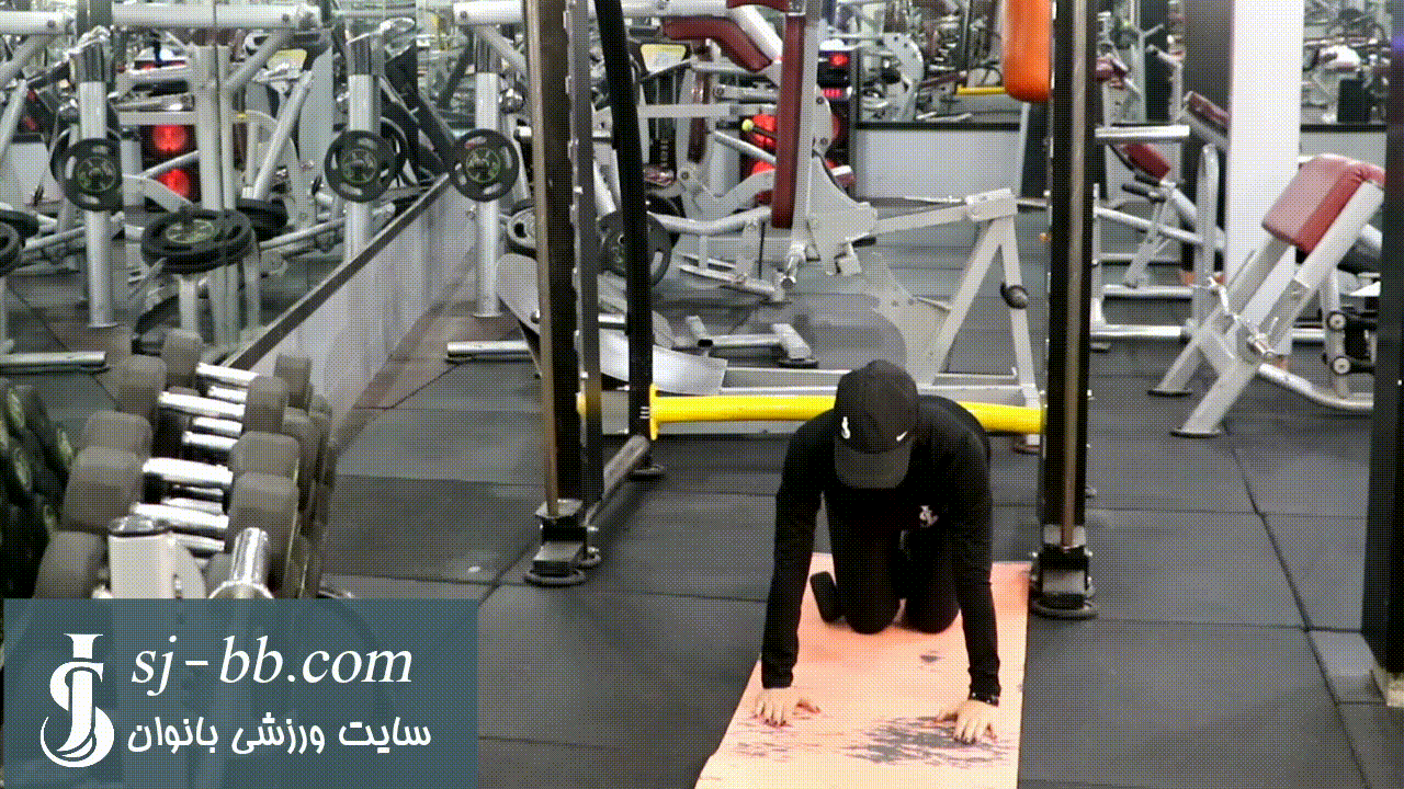 کیک ساید دمبل دانکی کیک ساید دمبل دانکی